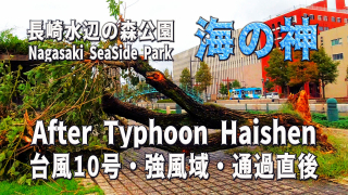 台風10号・海の神 Haishen